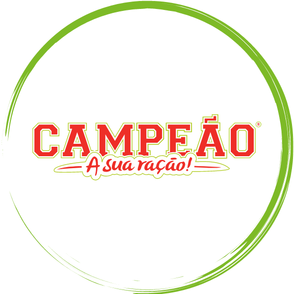 CAMPEÃO