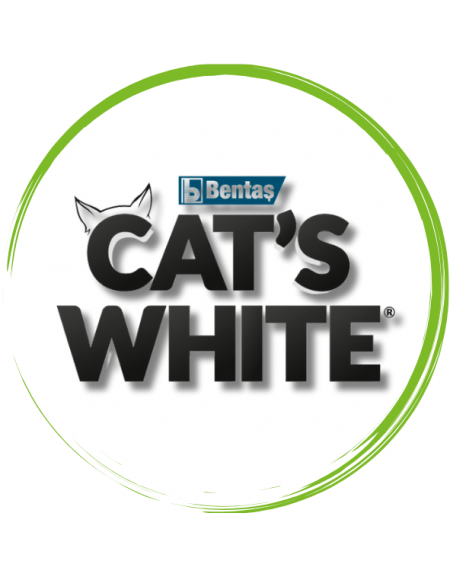 CATSWHITE