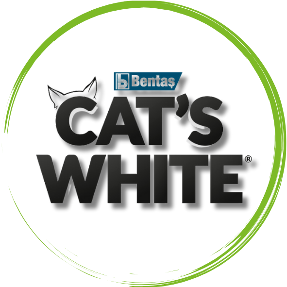 CATSWHITE